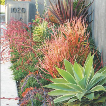 Interior & Exterior Environmental Designs