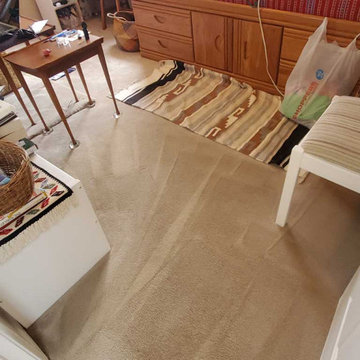 Carpet Cleaning a House Which Has Not Been Steam Cleaned for 8 Years Located in