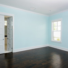 Paint Color