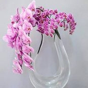 Tich Marie's photo