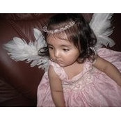 Mojgan Sheed's photo