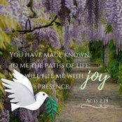 Kathy Blacker's photo