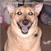 Kaylene Bush's photo