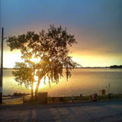 Tony Cosgrove's photo