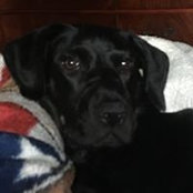 Kathy Nugent's photo