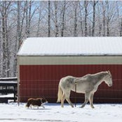 Kim Coley's photo