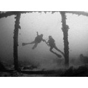 Sean Litton's photo