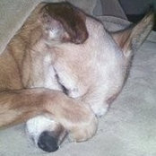 Samantha Thornton's photo
