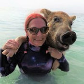 Debra Rubin's photo