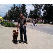 Luis Cortezs foto