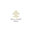 Shannon Modrell Interiors