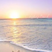 Martin Byatt's photo