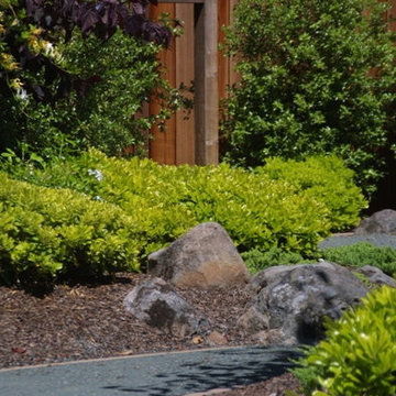 Cupertino, California