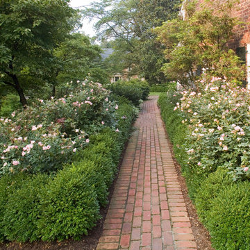 Kenwood