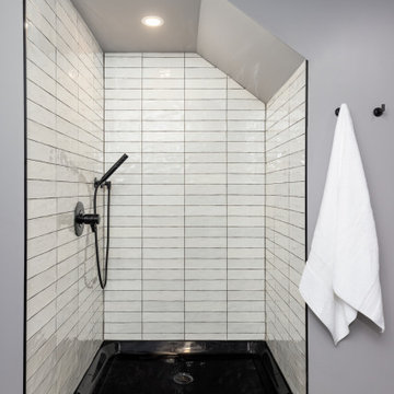 N Humboldt St. Historic Remodel