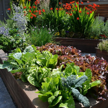 Raised Vegetable Bed / Ornamental Garden 2016