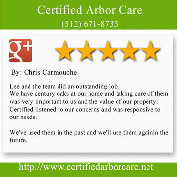 Tree Trimming Austin - Certified Arbor Care (512) 671-8733