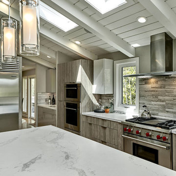 Los Altos Contemporary