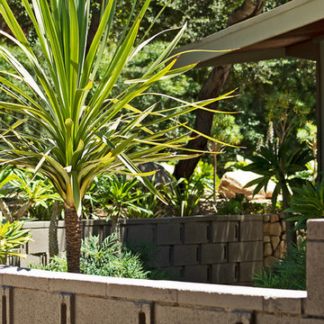 New 1-Year-Old Garden