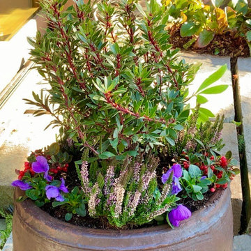 Container gardening