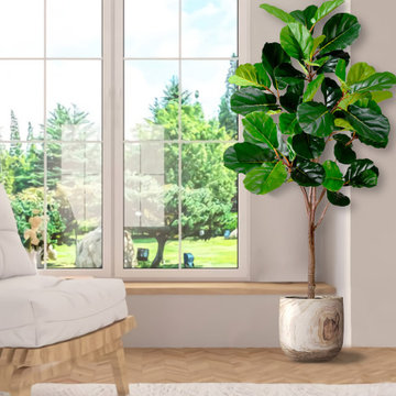 Serene Spaces Living New Arrival