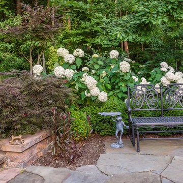 Retaining Wall and Winding Path in the Forest