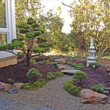 front yard