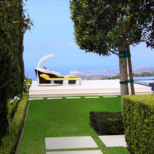 Lawn