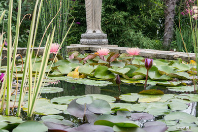 Kleiner Asiatischer Gartenteich im Sommer, hinter dem Haus in Sonstige