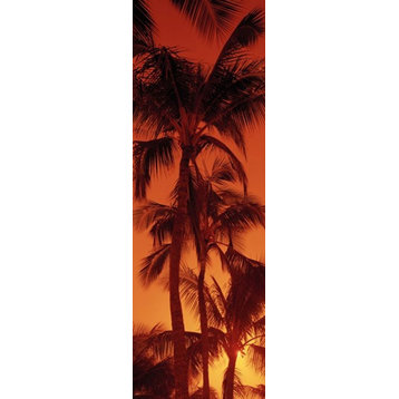 Low Angle View Of Palm Trees At Dusk Kalapaki Beach Kauai Hawaii