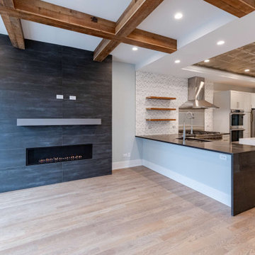 Chicago Open Concept Living Room & Kitchen Remodel