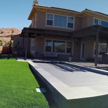 Brand New Landscape