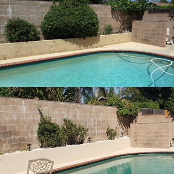 Backyard clean up and remodel