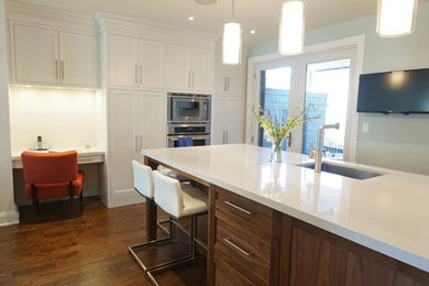 Kitchen - contemporary kitchen idea in Toronto