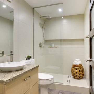 The Globetrotter | Lower Level Remodel
