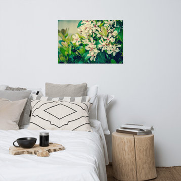 Indian Hawthorn Shrub in Bloom Colorized Nature Photo Unframed Wall Art Print, 24" X 36"