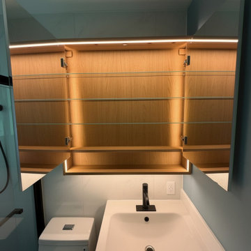 Custom Illuminated Bathroom Medicine Cabinet with Integrated LED Lighting