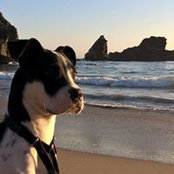 Michael Barlow's photo