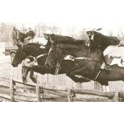 Elisabeth Plaskitt's photo