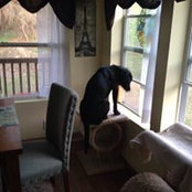 Donna Totaro's photo