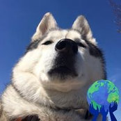 Carrie Magee's photo