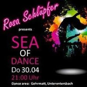 Foto von Rosa Pfer