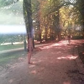 Foto von Martha Kearney