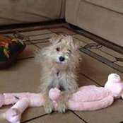 Luanne McRae's photo