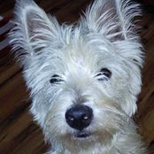 Charles Neal's photo