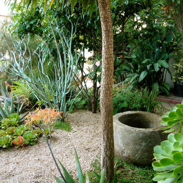 Ocean Avenue Gardens