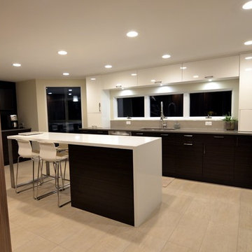 Small "U" Shaped Modern Kitchen with White and Wood Finishes in Geneva, IL
