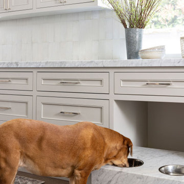 Organic Transitional Home Remodel