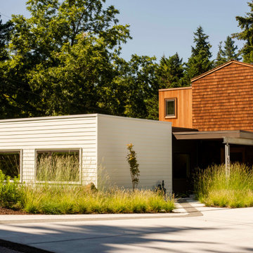 Suburb House