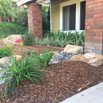 Rain Water Swale and Lawn Removal